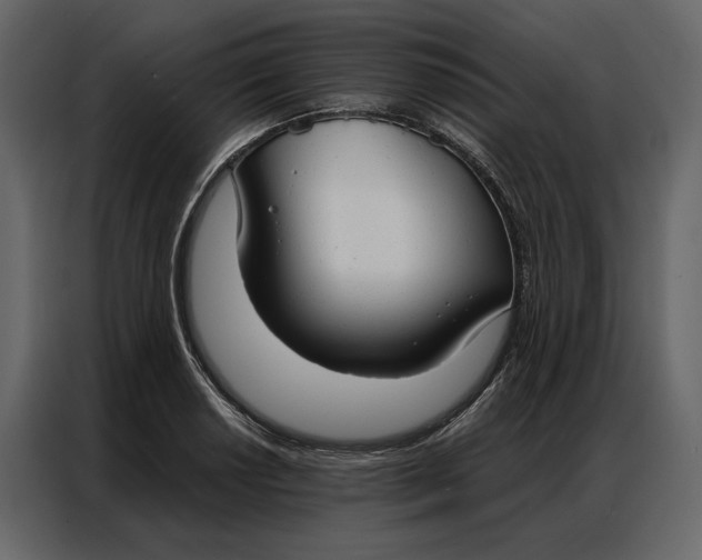 X0000086901034200705071239