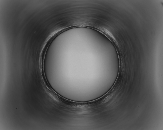 X0000086901035200705071239