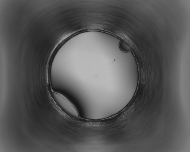 X0000086901036200705071239