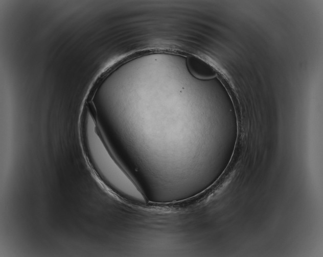 X0000086901037200705071239