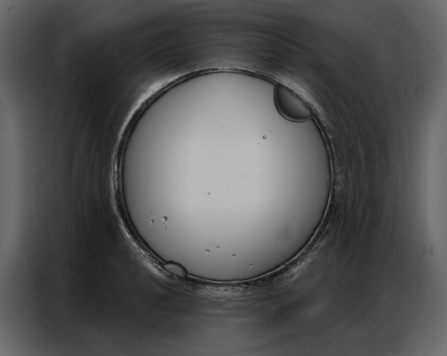 X0000086901040200705071239