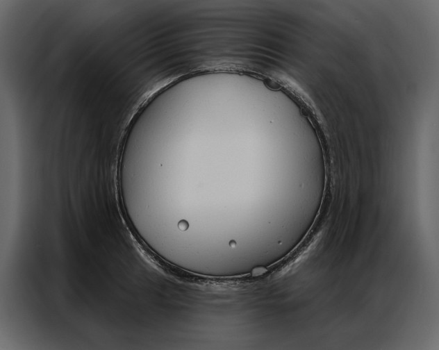 X0000086901041200705071239