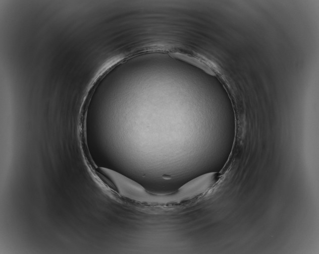 X0000086901042200705071239