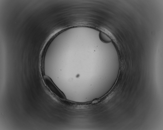 X0000086901043200705071239