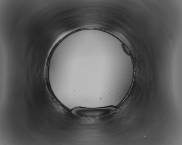 X0000086901044200705071239