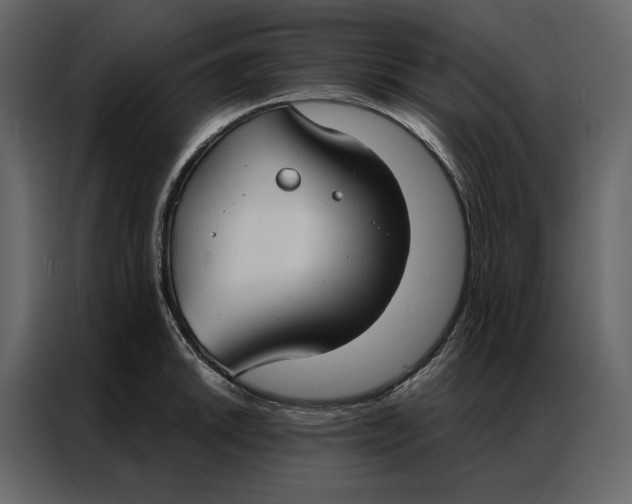 X0000086901046200705071239