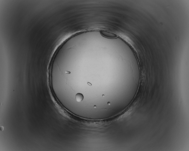 X0000086901047200705071239