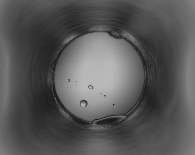 X0000086901049200705071239