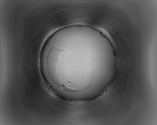 X0000086901051200705071239