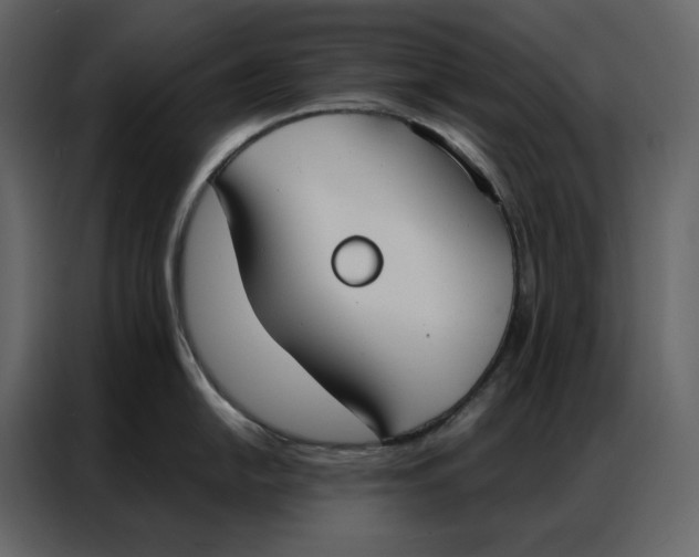 X0000086901054200705071239