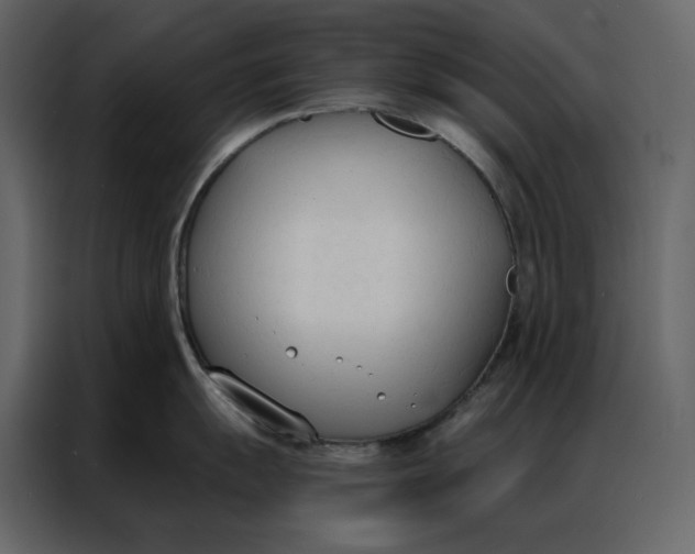 X0000086901055200705071239