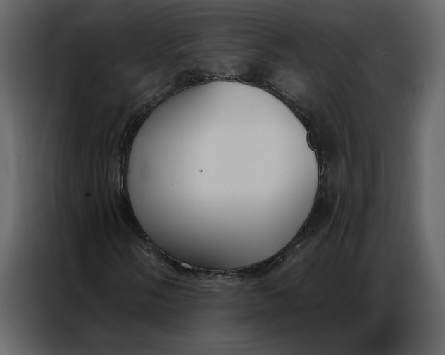 X0000086901058200705071239