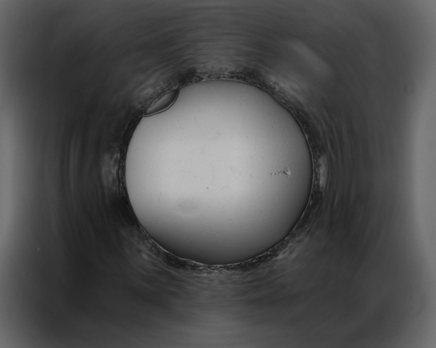 X0000086901059200705071239