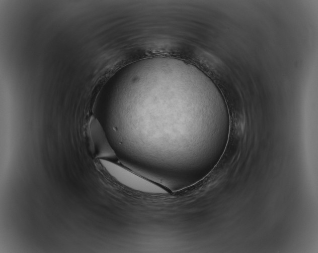 X0000086901060200705071239