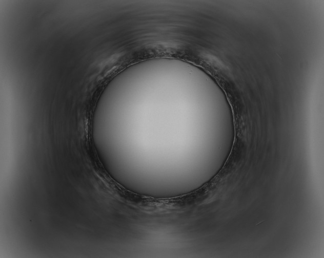 X0000086901061200705071239