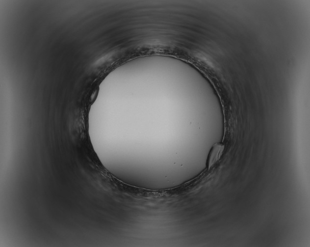 X0000086901062200705071239