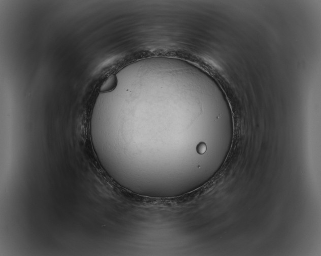 X0000086901063200705071239