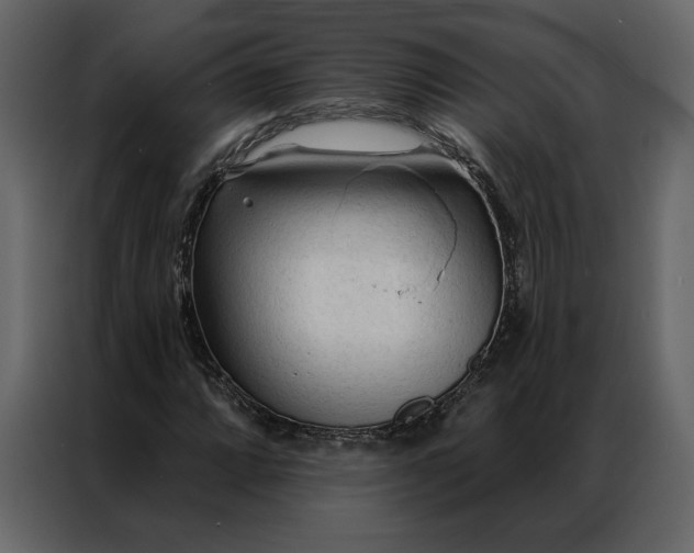 X0000086901064200705071239