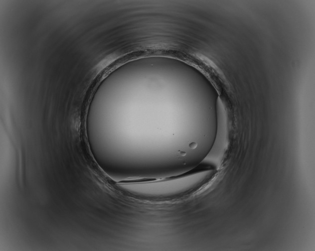 X0000086901065200705071239