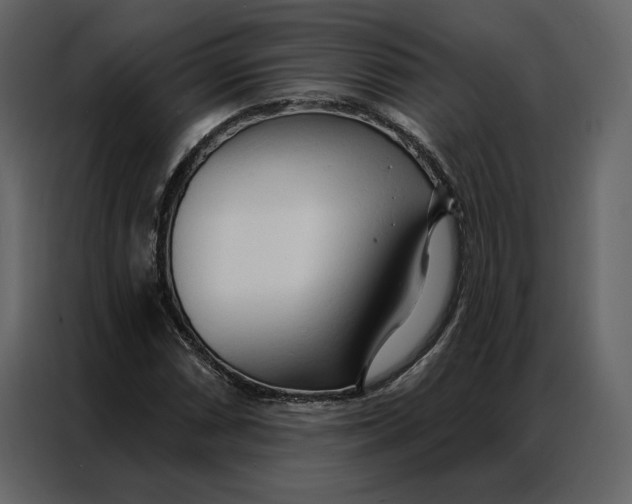 X0000086901066200705071239