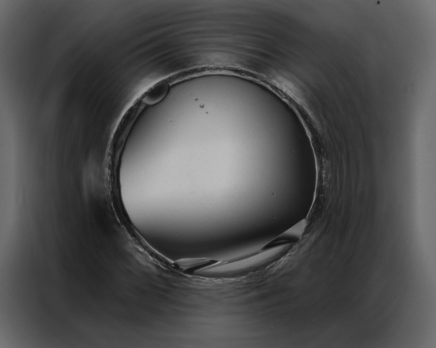 X0000086901068200705071239