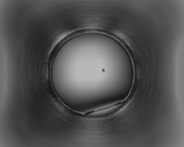 X0000086901069200705071239