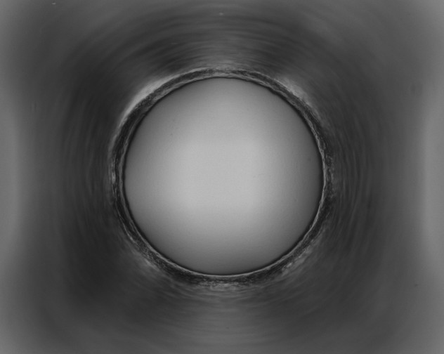 X0000086901070200705071239