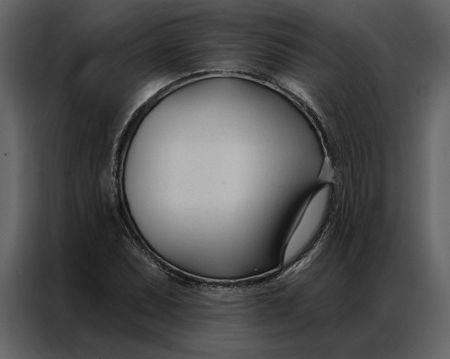 X0000086901071200705071239