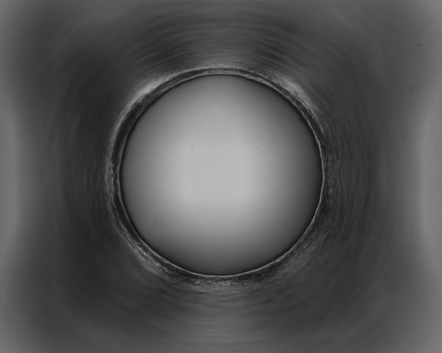 X0000086901072200705071239