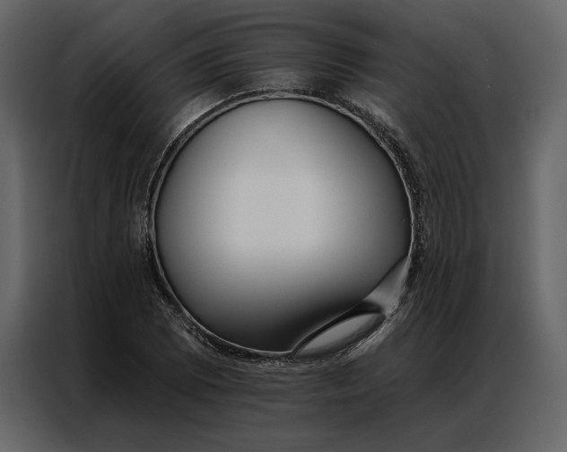 X0000086901073200705071239