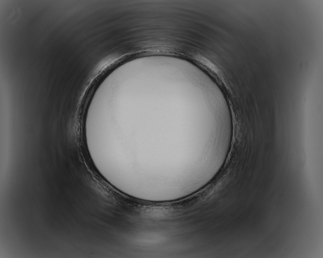 X0000086901074200705071238