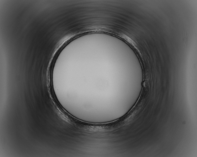 X0000086901082200705071238