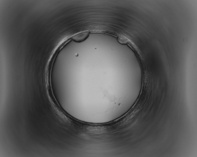 X0000086901083200705071238