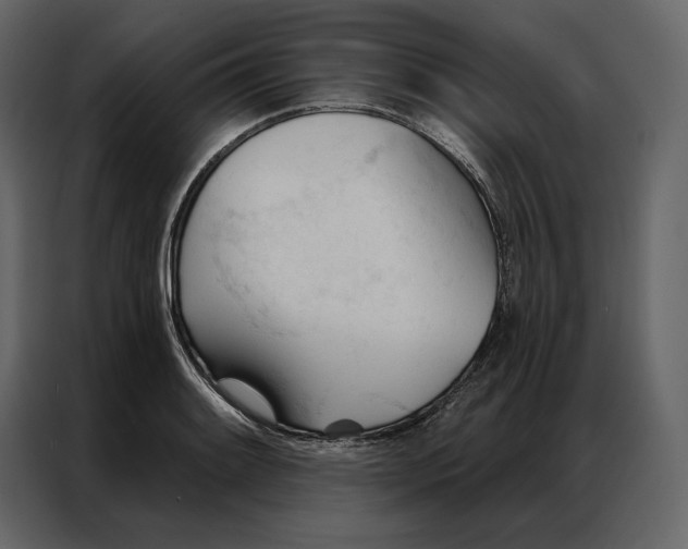 X0000086901084200705071238