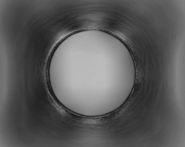 X0000086901086200705071238