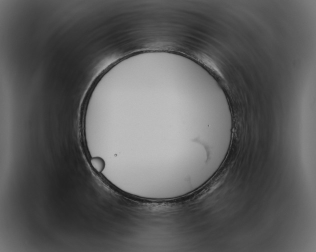 X0000086901087200705071238