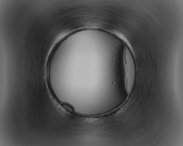 X0000086901088200705071238