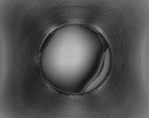 X0000086901089200705071238