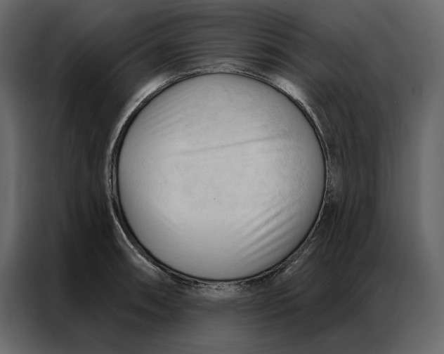 X0000086901090200705071238