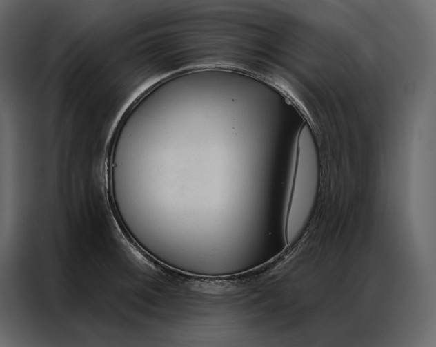 X0000086901092200705071238