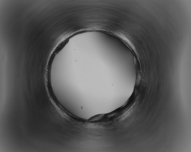 X0000086901093200705071238