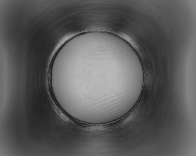 X0000086901094200705071238