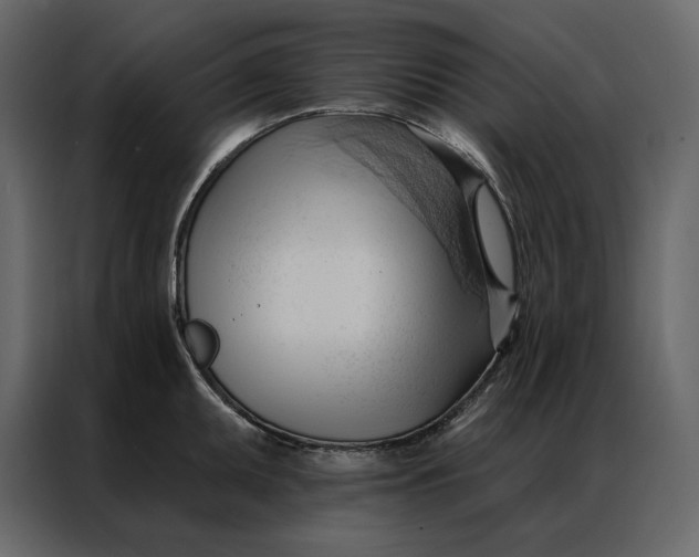 X0000086901095200705071238