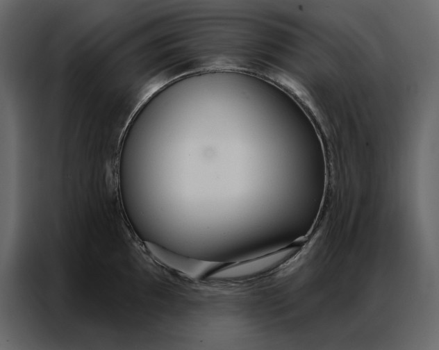 X0000086901097200705071238