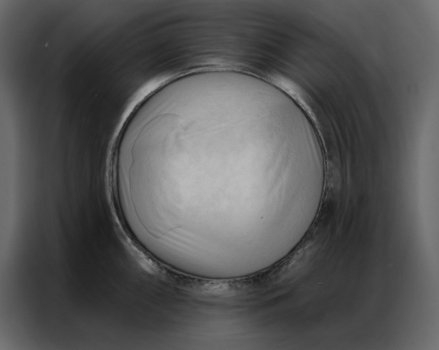 X0000086901098200705071238