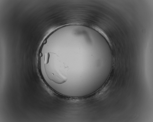 X0000086901099200705071238