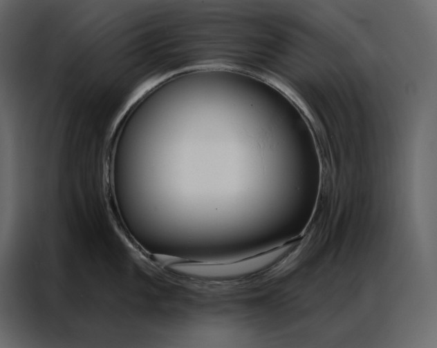 X0000086901101200705071238