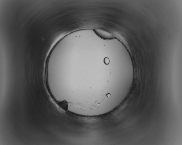 X0000086901103200705071238