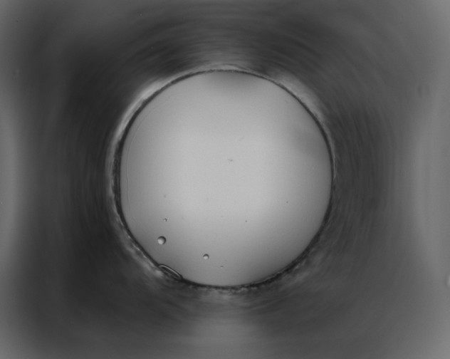 X0000086901104200705071238