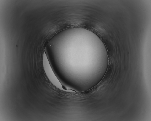 X0000086901106200705071237